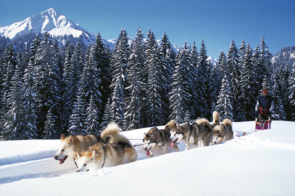 Alpen Select Lodge Kleinwalsertal รีซแลร์น ภายนอก รูปภาพ